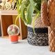【PLANTS WATER GLOBE】プランツ ウォーター グローブ  ゲオメトリクス
