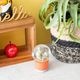 【PLANTS WATER GLOBE】プランツ ウォーター グローブ  ゲオメトリクス