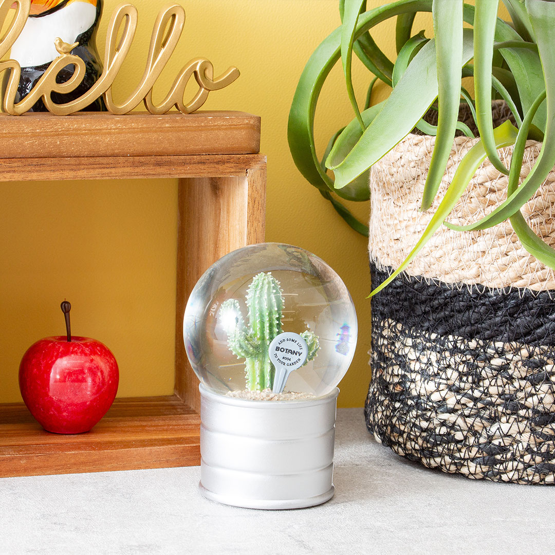 【PLANTS WATER GLOBE】プランツ ウォーター グローブ  ユーフォルビア エキヌス