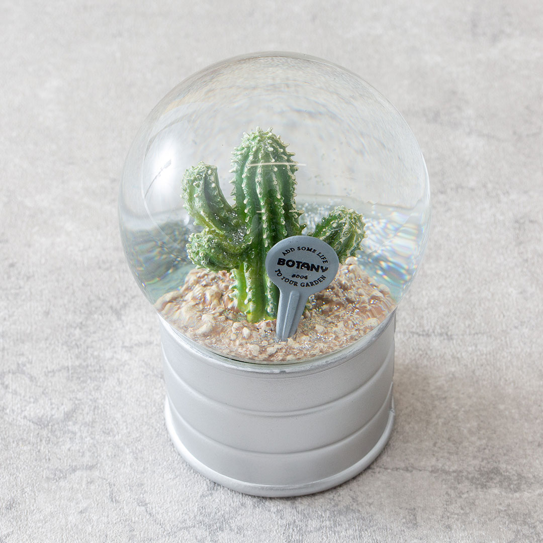 【PLANTS WATER GLOBE】プランツ ウォーター グローブ  ユーフォルビア エキヌス