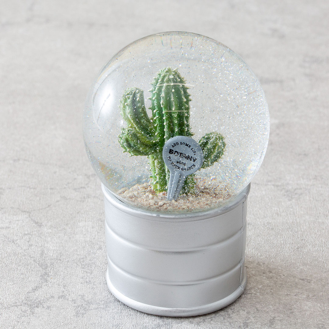 【PLANTS WATER GLOBE】プランツ ウォーター グローブ  ユーフォルビア エキヌス