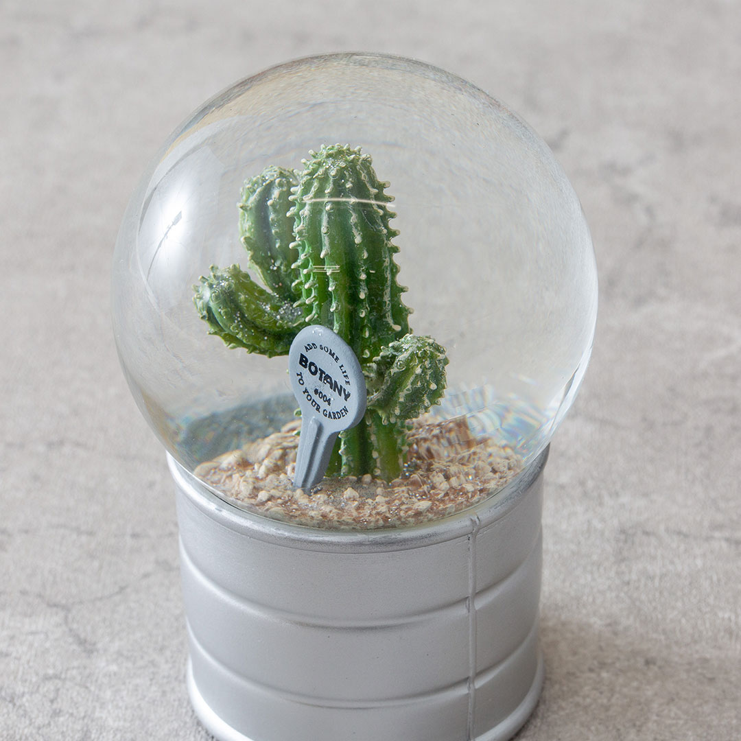 【PLANTS WATER GLOBE】プランツ ウォーター グローブ  ユーフォルビア エキヌス