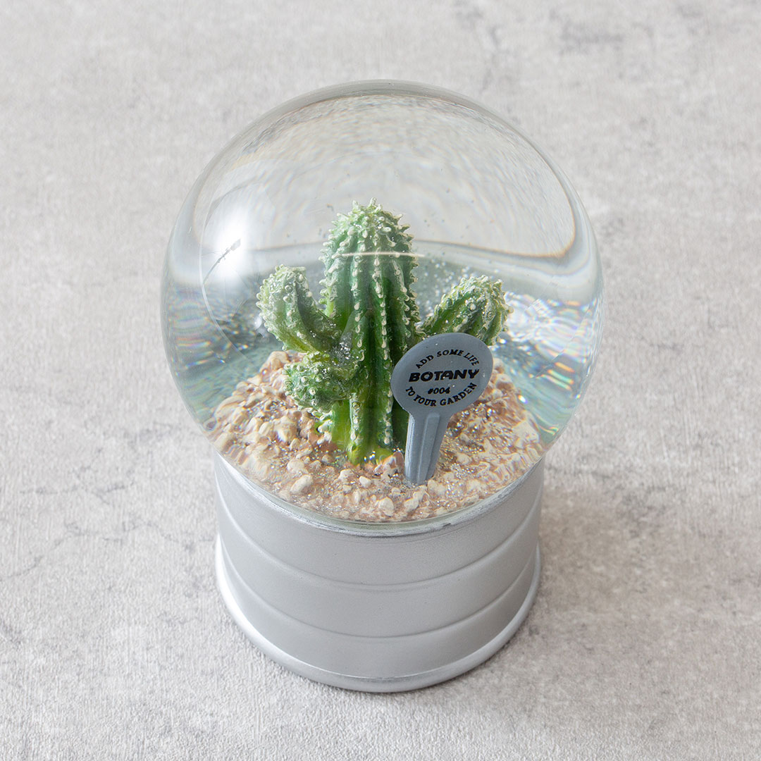【PLANTS WATER GLOBE】プランツ ウォーター グローブ  ユーフォルビア エキヌス
