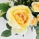 アーティフィシャルフラワー 爽やかな壁掛け イエローローズ