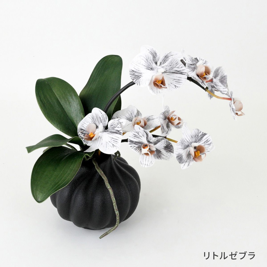 アーティフィシャルフラワー 幸福が飛んでくる 胡蝶蘭の贈り物