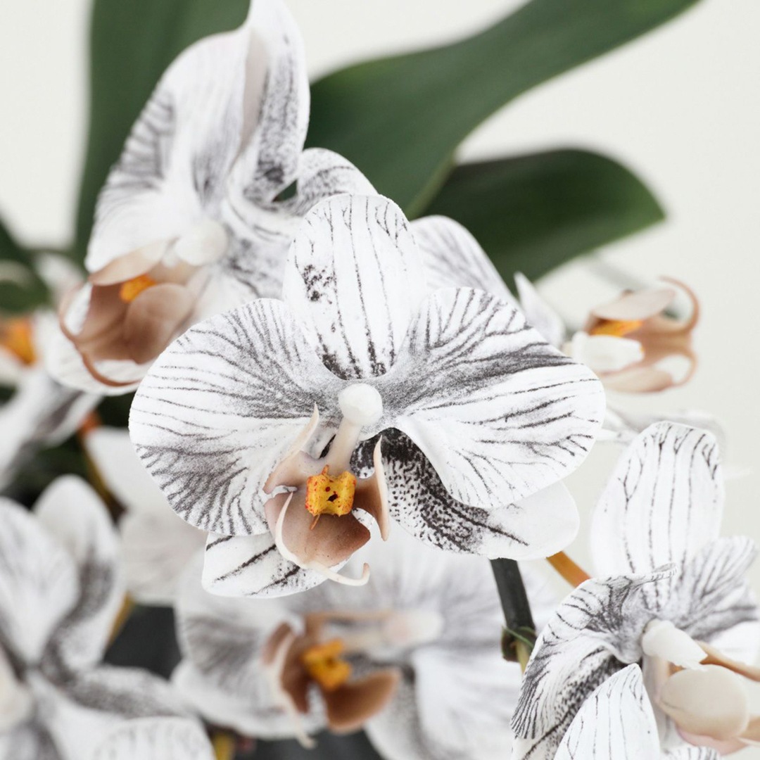 アーティフィシャルフラワー 幸福が飛んでくる 胡蝶蘭の贈り物