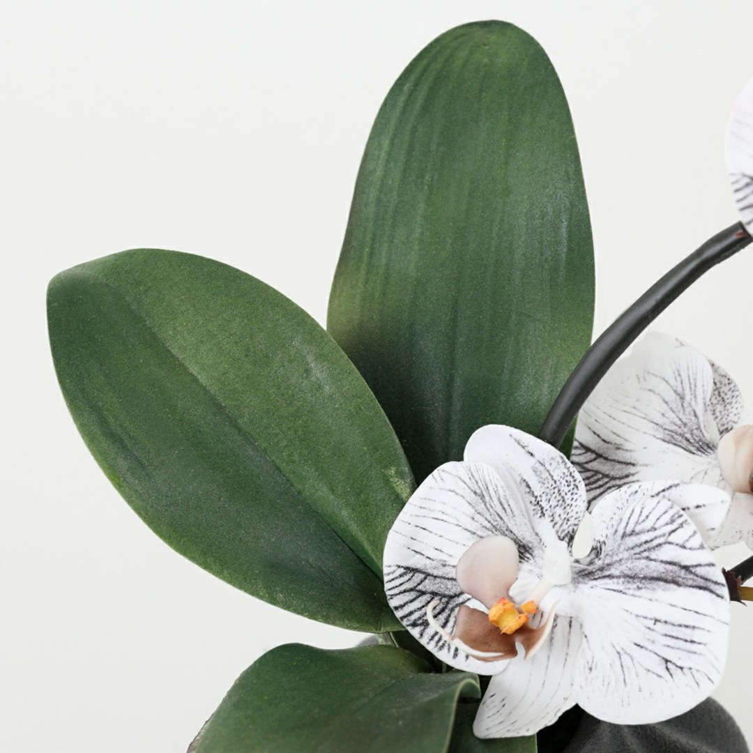 アーティフィシャルフラワー 幸福が飛んでくる 胡蝶蘭の贈り物