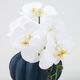 アーティフィシャルフラワー 幸福が飛んでくる 胡蝶蘭の贈り物