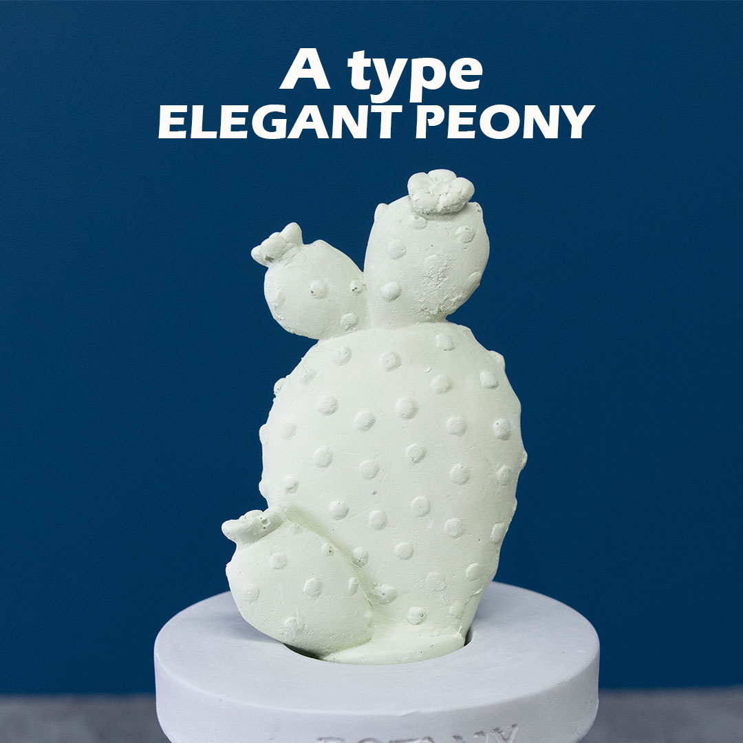 カクタス フレグランス ディフューザー