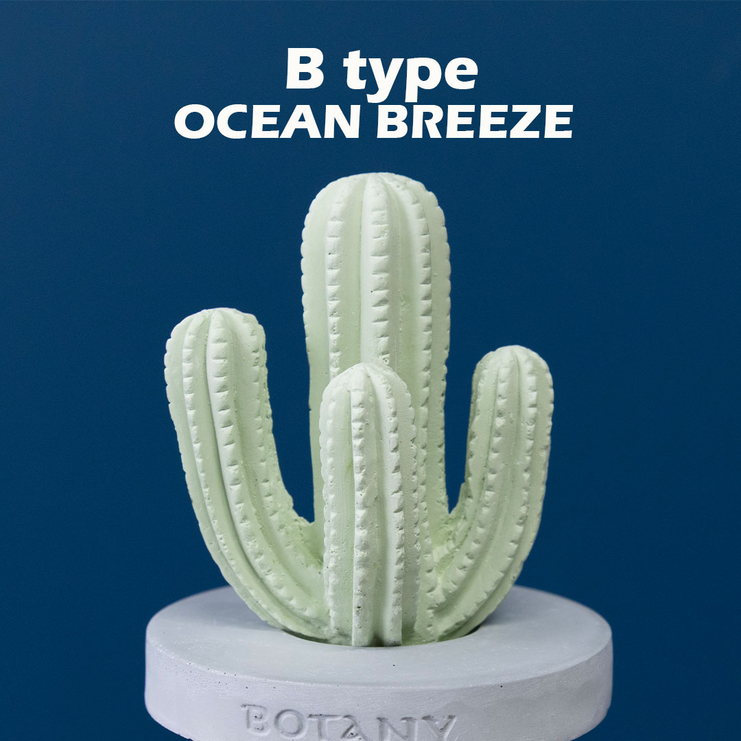 カクタス フレグランス ディフューザー