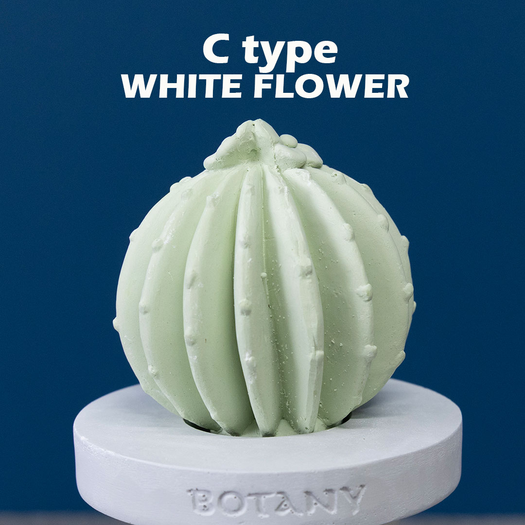 カクタス フレグランス ディフューザー