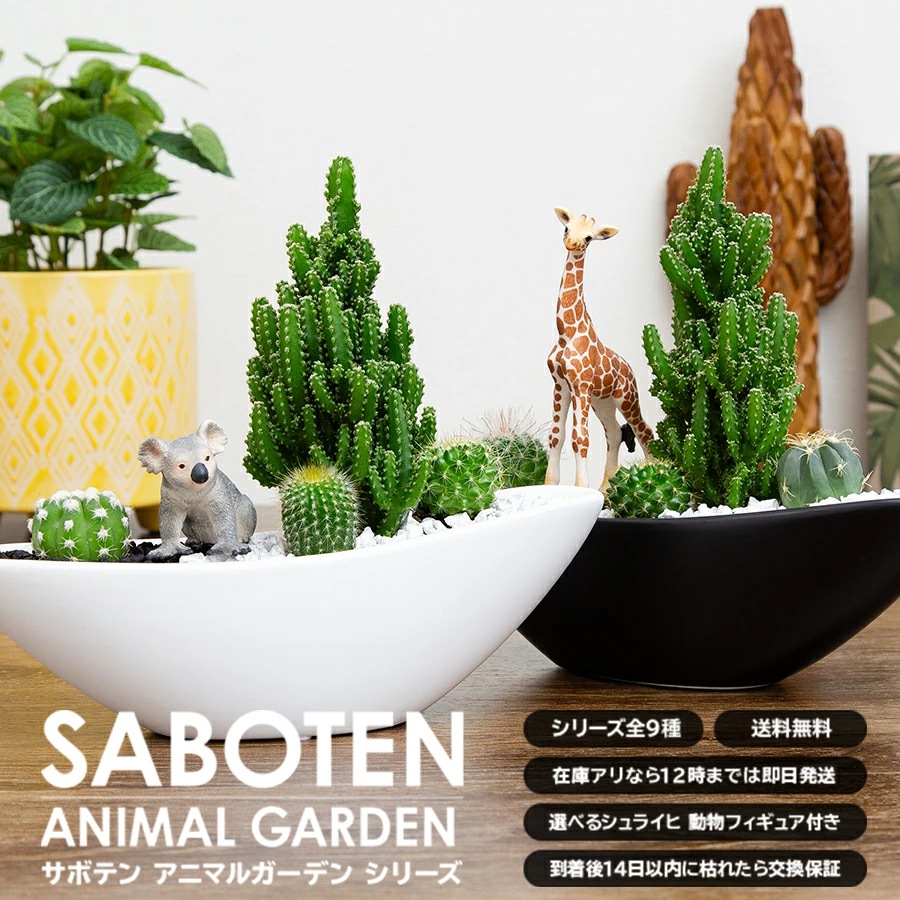 サボテンギフト 寄せ植え 舟形タイプ カクタス セレウス アニマルサボテン 選べる動物フィギュア付