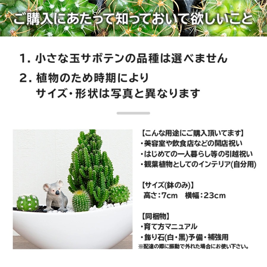 サボテンギフト 寄せ植え 舟形タイプ カクタス セレウス アニマルサボテン 選べる動物フィギュア付