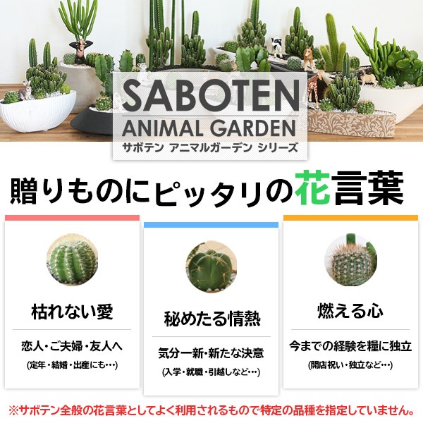 サボテンギフト 寄せ植え 舟形タイプ カクタス セレウス アニマルサボテン 選べる動物フィギュア付