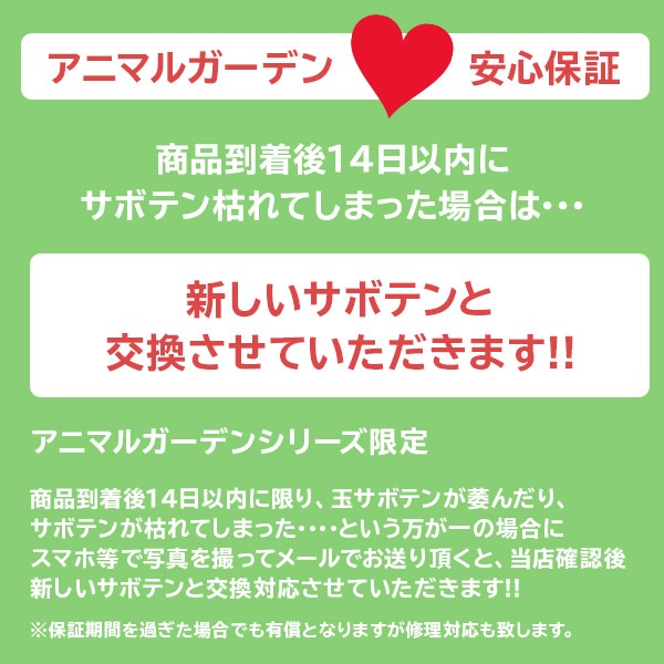 サボテンギフト 寄せ植え 舟形タイプ カクタス セレウス アニマルサボテン 選べる動物フィギュア付