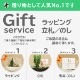 サボテンギフト 寄せ植え 舟形タイプ カクタス セレウス アニマルサボテン 選べる動物フィギュア付