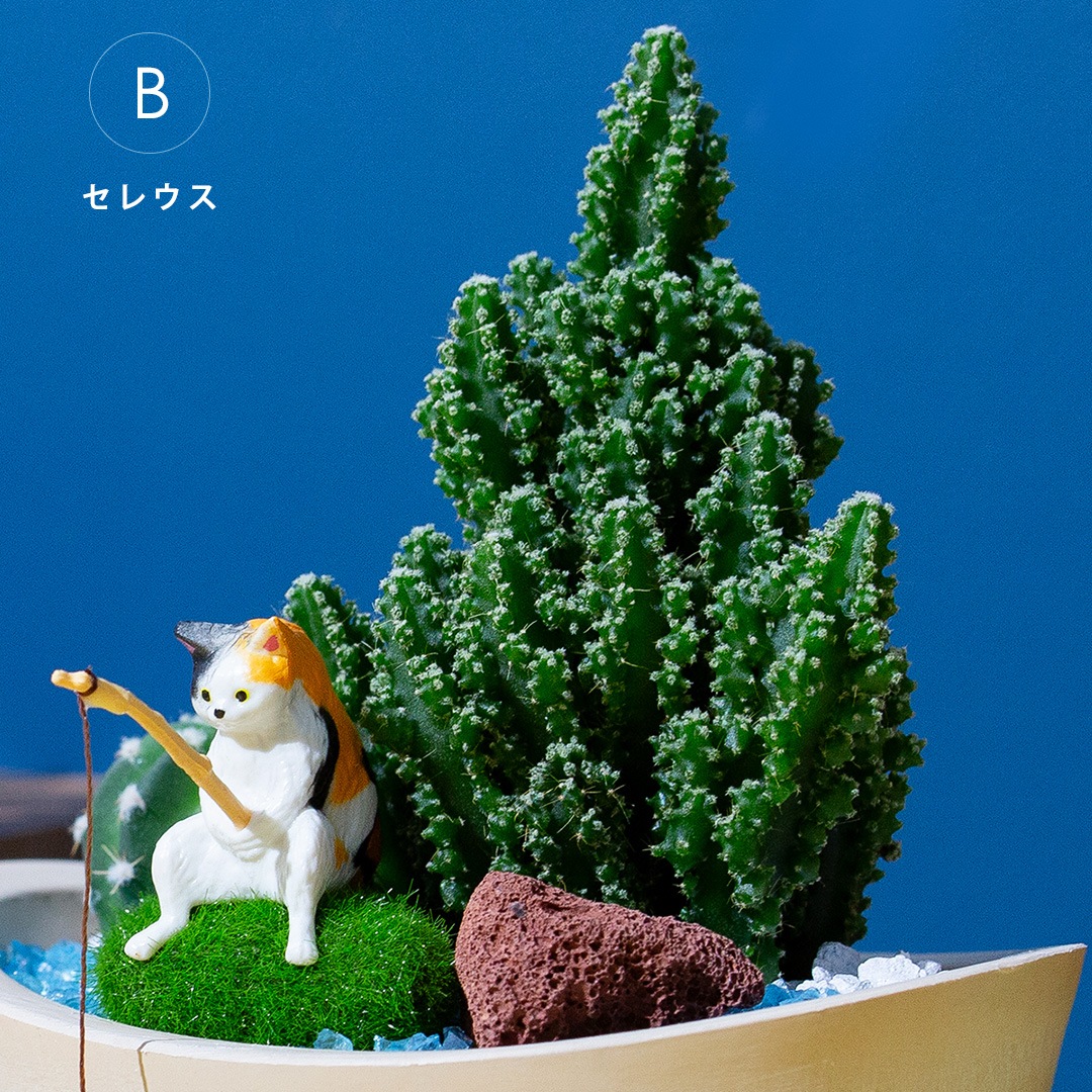 多肉植物  「釣りネコ」シリーズ 釣りネコと3種の選べる多肉植物 育て方説明書付