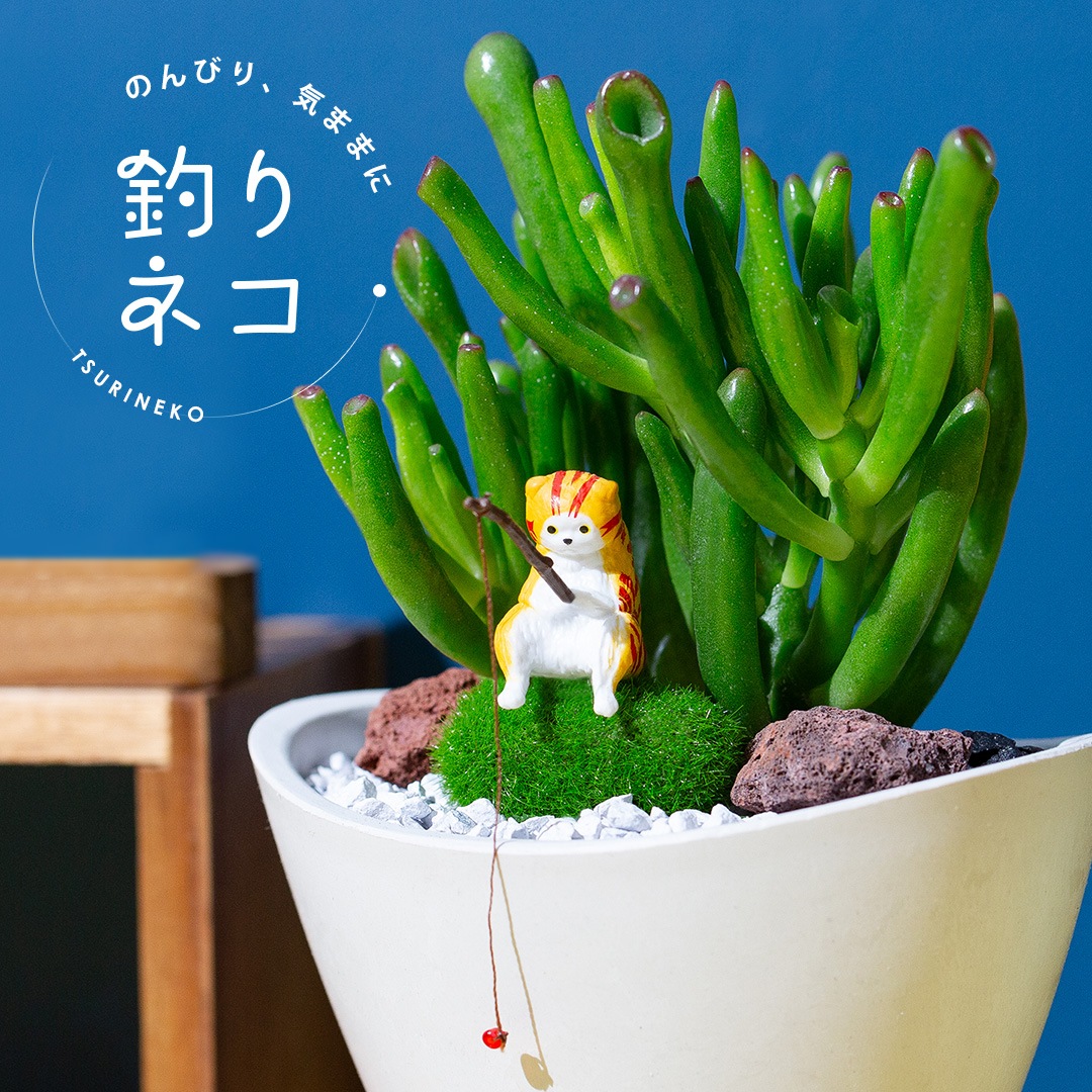 多肉植物  「釣りネコ」シリーズ 釣りネコと3種の選べる多肉植物 育て方説明書付