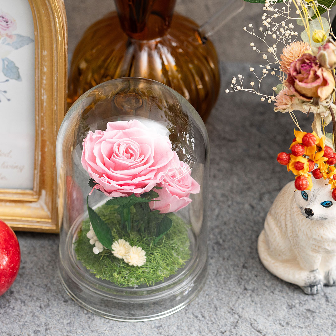 グラスフラワー プリビューティードーム