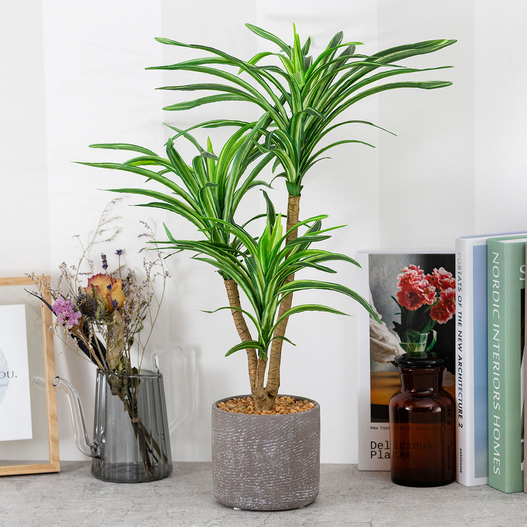 ユッカ　セメントポット フェイクグリーン