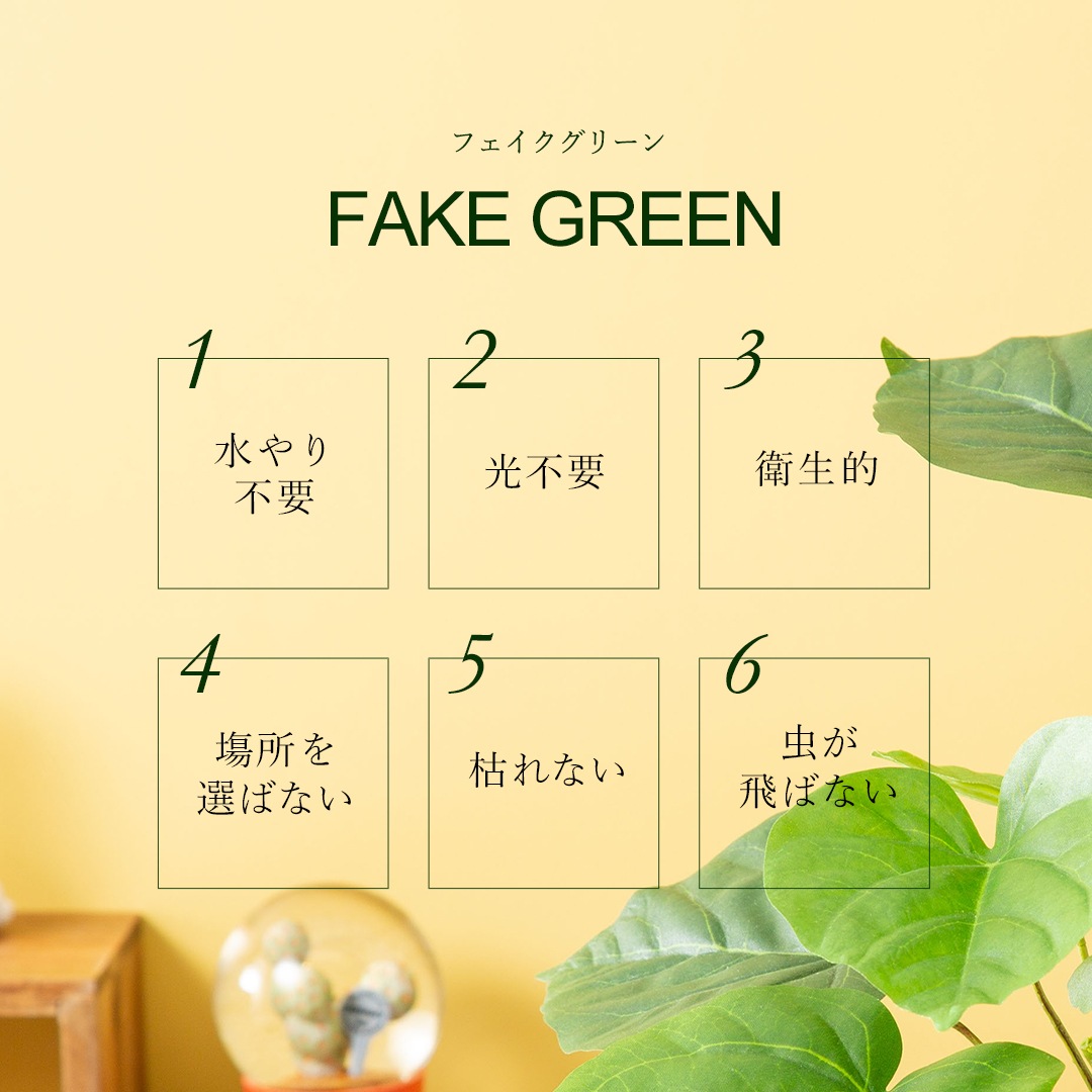 オシャレな緑インテリア ウンベラータ