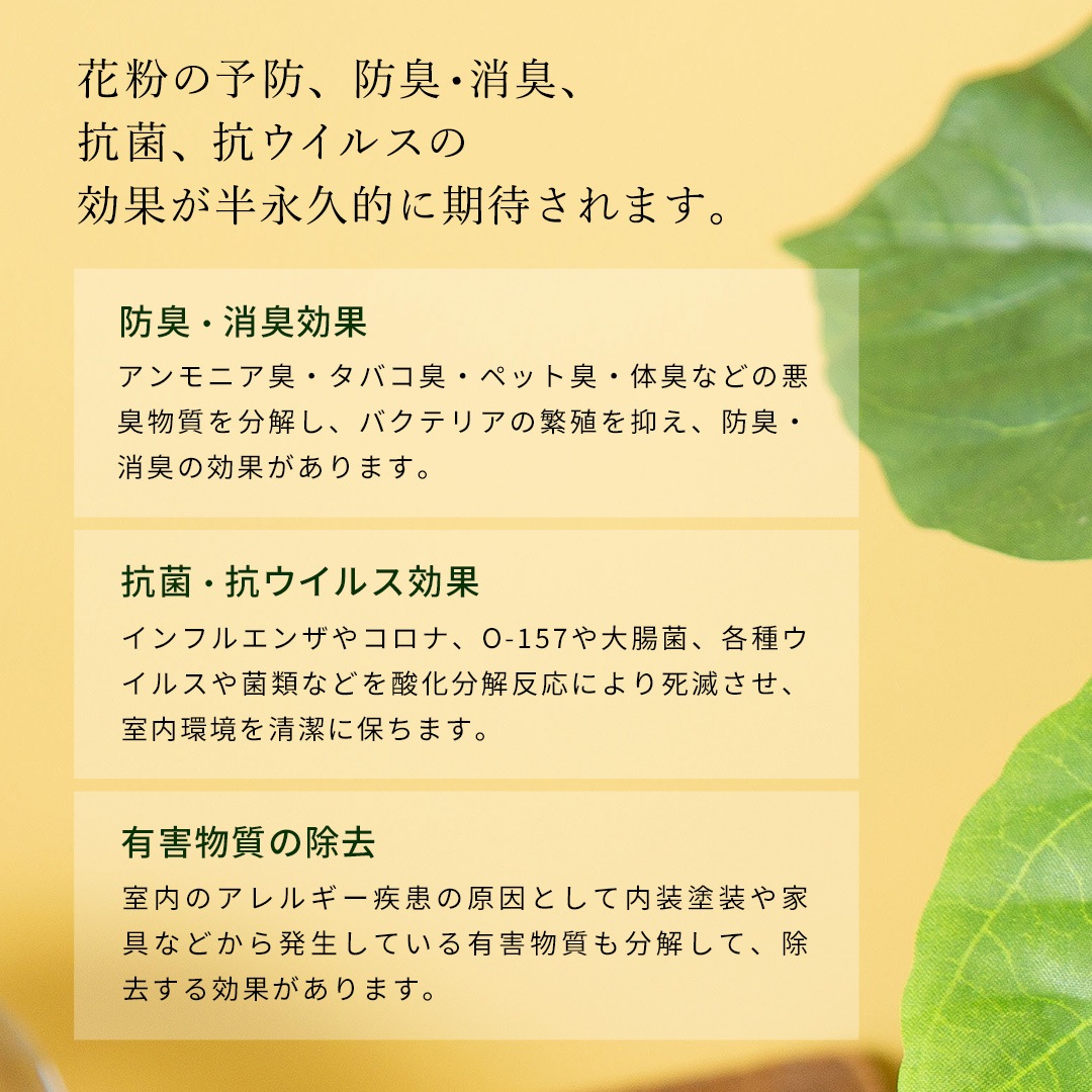 オシャレな緑インテリア ウンベラータ