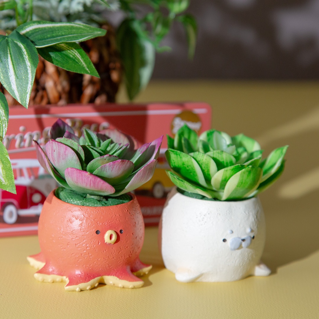 フェイクグリーン カクタスアレンジ タコ＆アザラシ セット