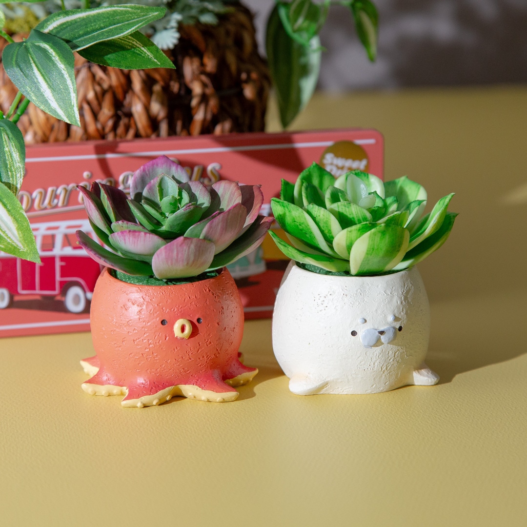 フェイクグリーン カクタスアレンジ タコ＆アザラシ セット