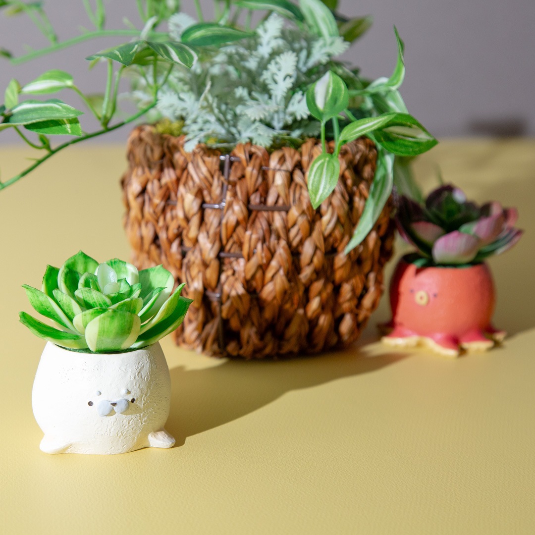 フェイクグリーン カクタスアレンジ タコ＆アザラシ セット