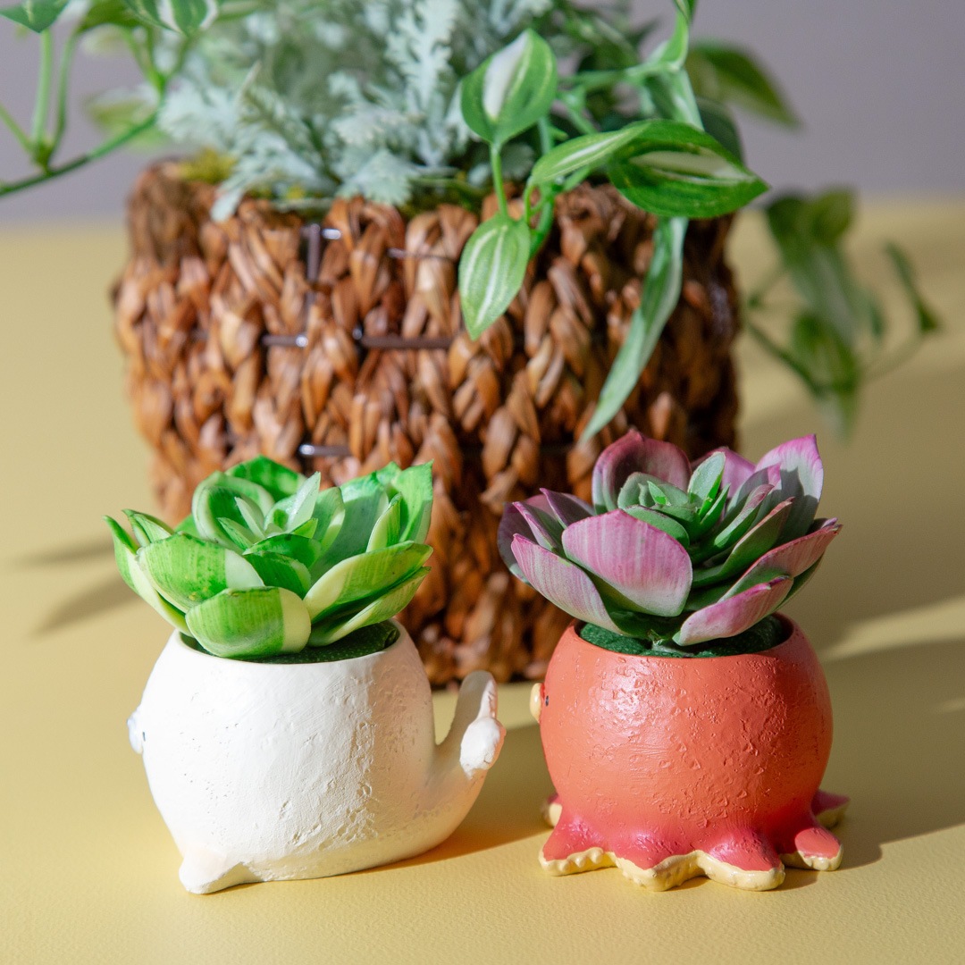 フェイクグリーン カクタスアレンジ タコ＆アザラシ セット