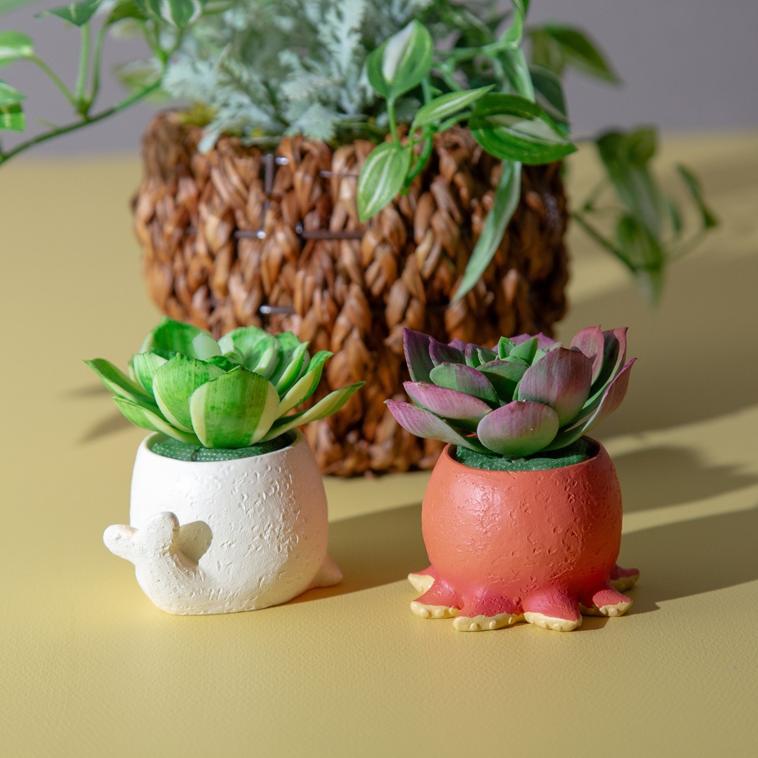 フェイクグリーン カクタスアレンジ タコ＆アザラシ セット