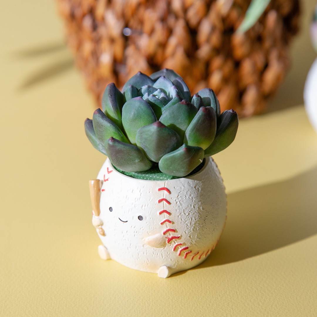 フェイクグリーン カクタスアレンジ ゴルフ＆野球 セット