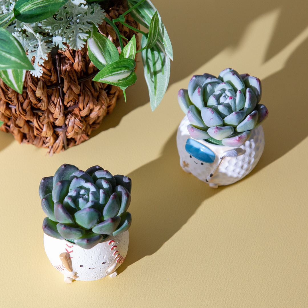 フェイクグリーン カクタスアレンジ ゴルフ＆野球 セット