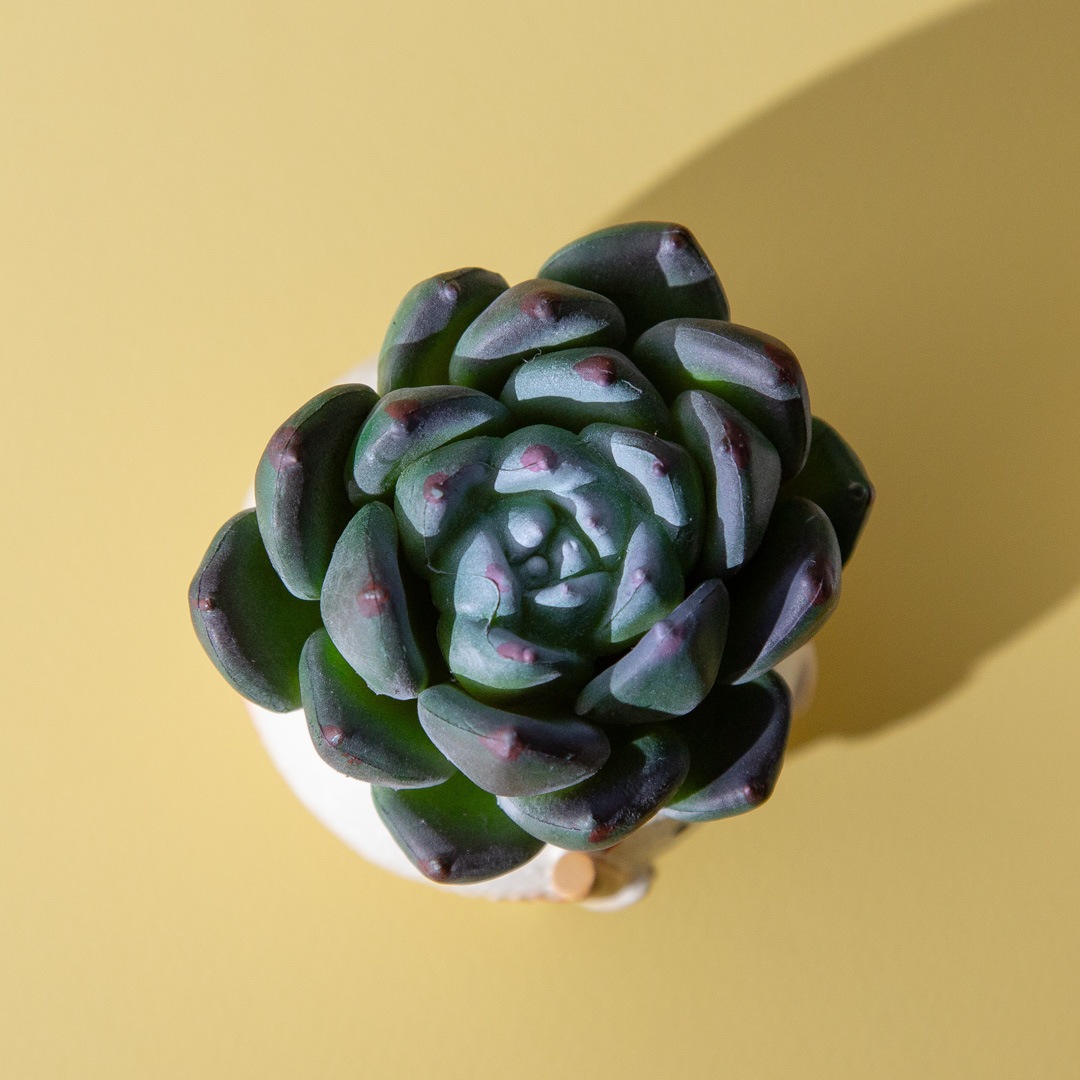 フェイクグリーン カクタスアレンジ ゴルフ＆野球 セット