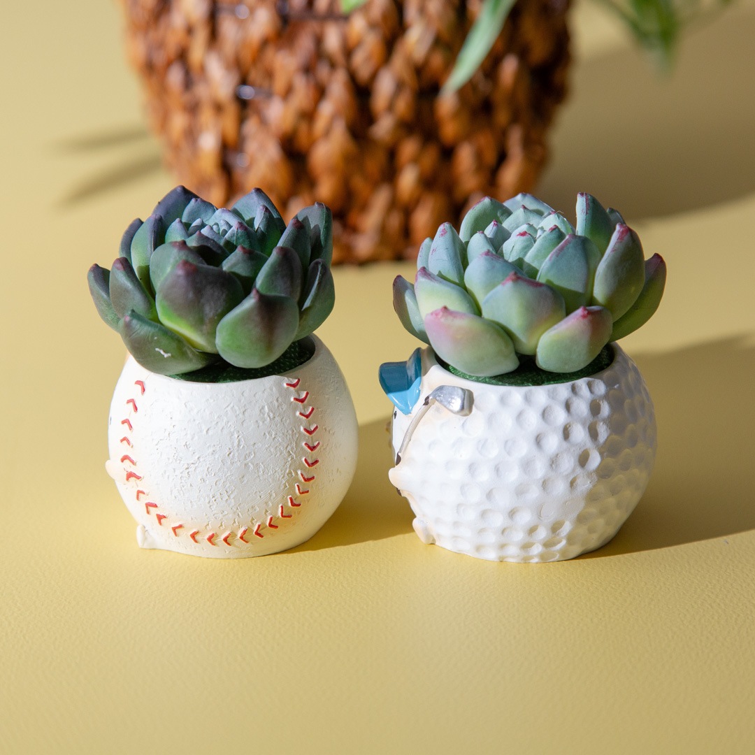 フェイクグリーン カクタスアレンジ ゴルフ＆野球 セット