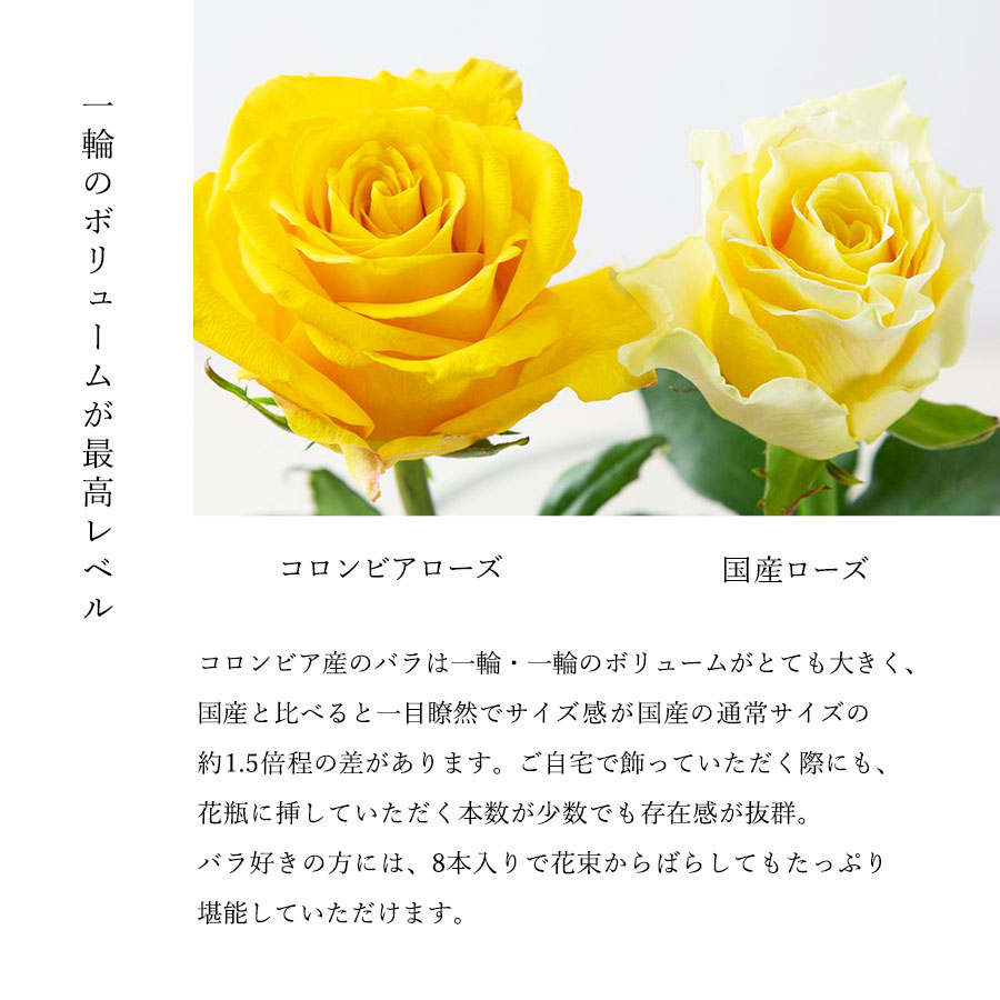 Co*Rose バラ花束 8本