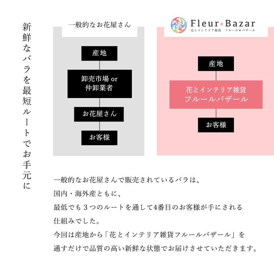 Co*Rose バラ花束 8本