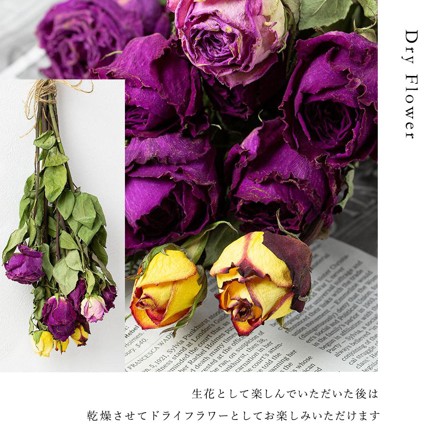 Co*Rose バラ花束 8本