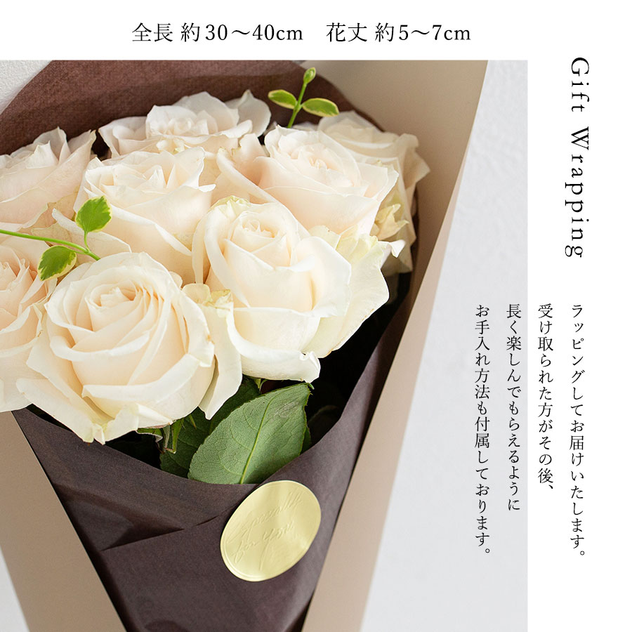 Co*Rose バラ花束 8本