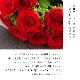 Co*Rose バラ花束 8本