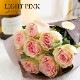 Co*Rose バラ花束 8本