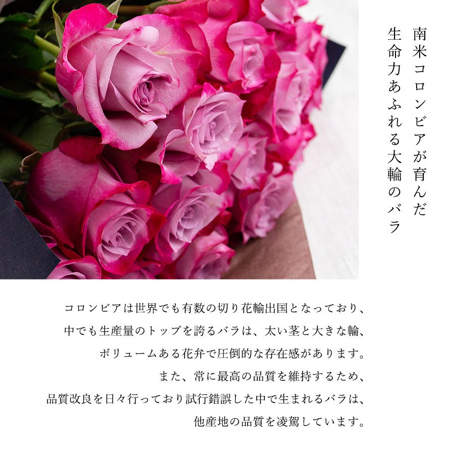 Co*Rose バラ花束 16本