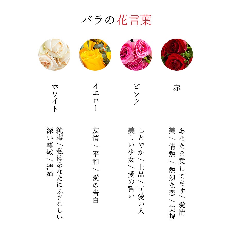 Co*Rose バラ花束 16本