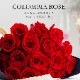 Co*Rose バラ花束 16本