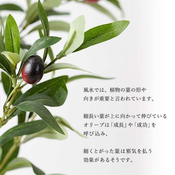 フェイクグリーン 人工樹木 オリーブの樹