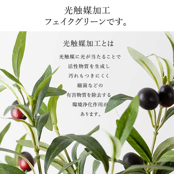 フェイクグリーン 人工樹木 オリーブの樹