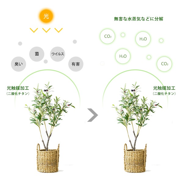 フェイクグリーン 人工樹木 オリーブの樹