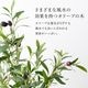 フェイクグリーン 人工樹木 オリーブの樹