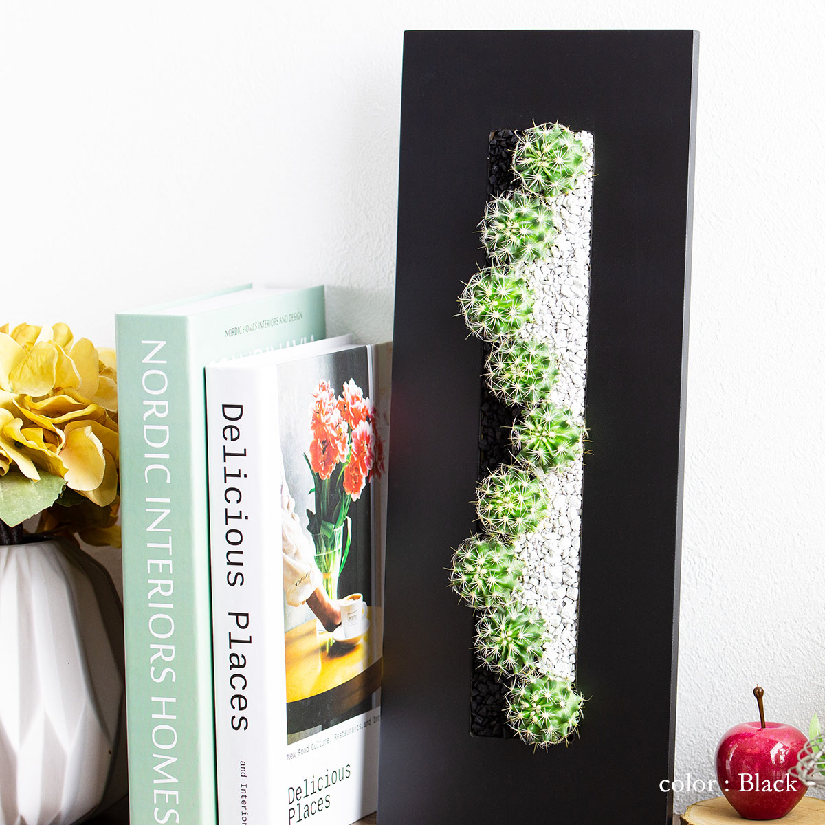 サボテンギフト 長方形フレーム