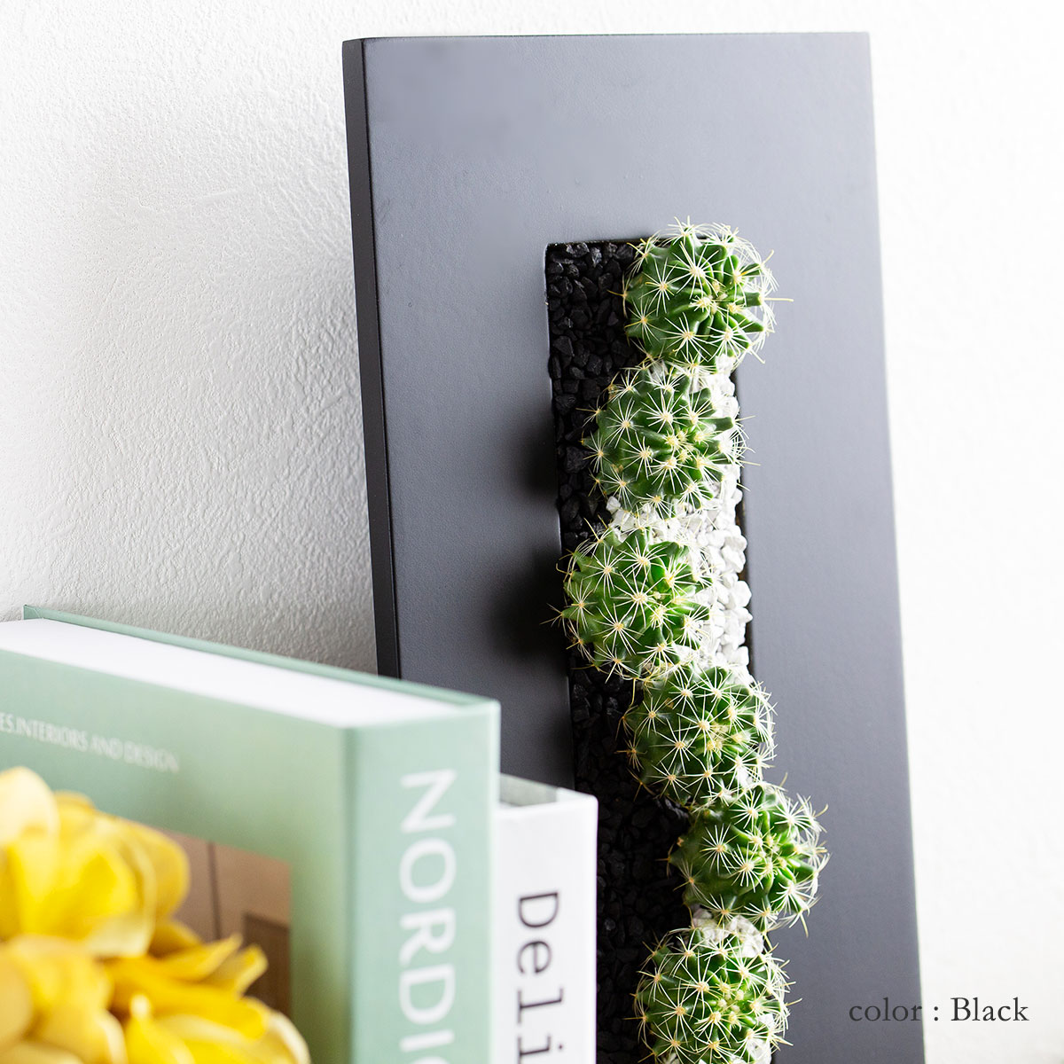サボテンギフト 長方形フレーム